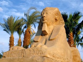 CNN Report: The Trauma of Egypt&#039;s Tourism
